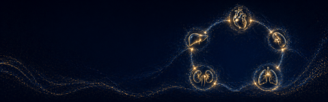 NE VESTE, KJE ZAČETI?